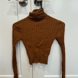 Zara Brown Turtleneck Sweater